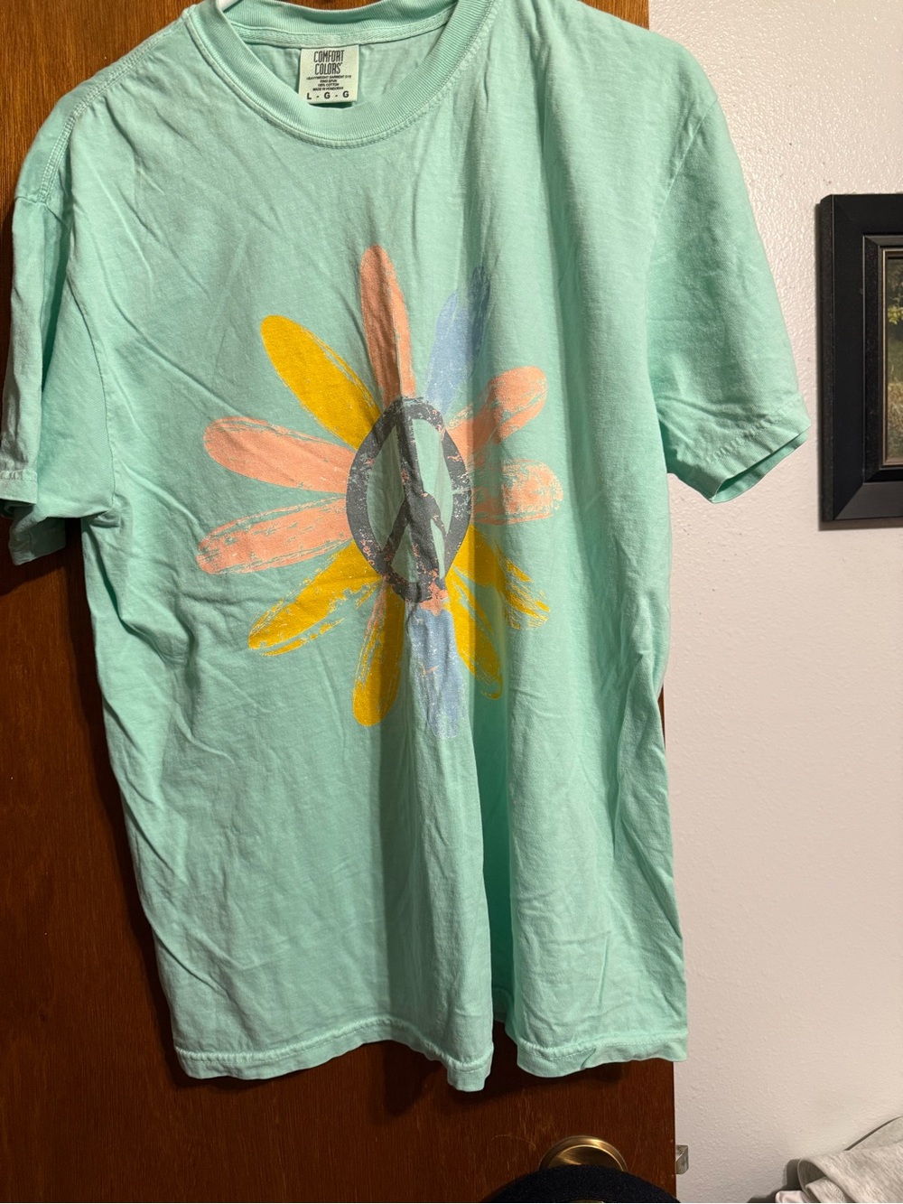 Comfort Colors Mint Green Tee with Pastel Graphic